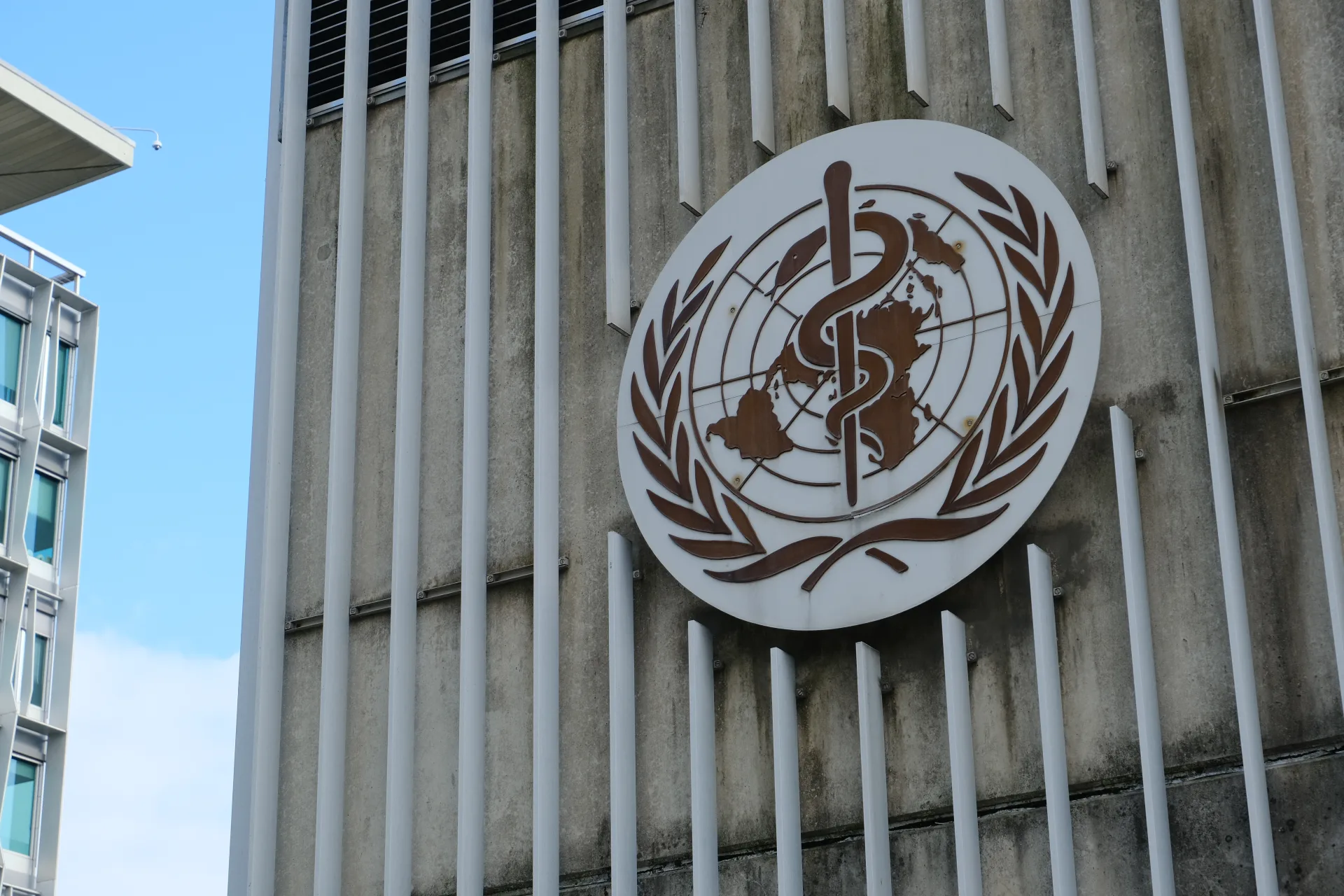 DSÖ'den Orta Afrika'daki Ebola Salgınına Uluslararası Acil Durum İlanı: 80 Şüpheli Ölüm